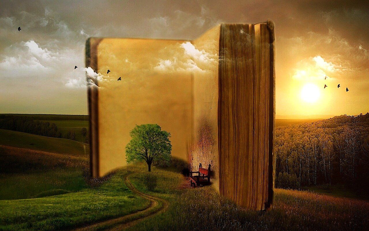 entdecken sie eine faszinierende auswahl an büchern aus verschiedenen genres. von fesselnden romanen über spannende krimis bis hin zu lehrreichen sachbüchern – finden sie ihre nächste lektüre und tauchen sie in neue welten ein.