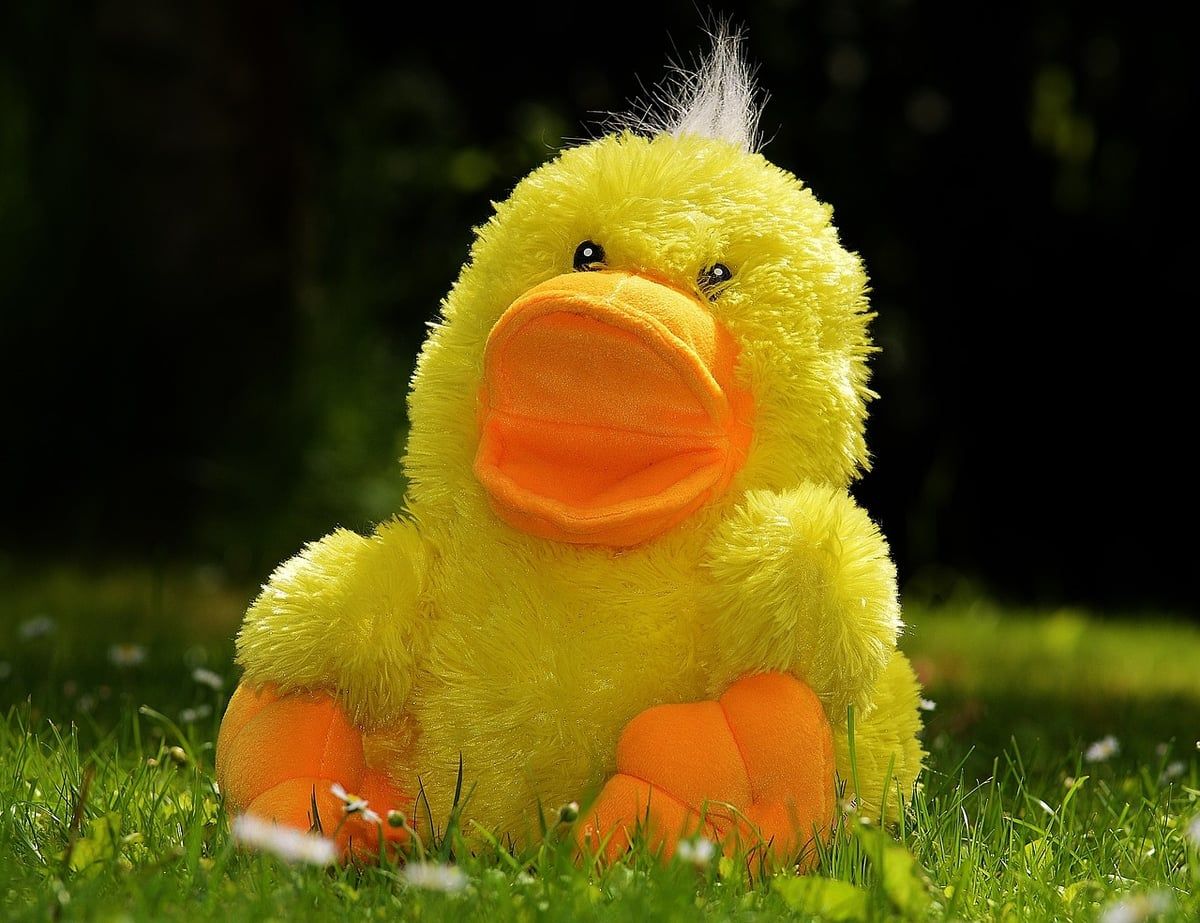 Warum sind stofftiere die besten freunde für kinder?