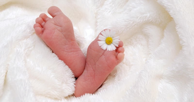 Ab wann können Babys sehen? Der große Seh-Entwicklungs-Guide